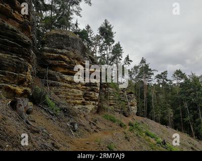 Kokorin, repubblica Ceca - 14 giugno 2023: Edificio storico castello medievale di Kokorin nelle foreste profonde della regione di Kokorinsko, Boemia, repubblica Ceca, nazionale Foto Stock