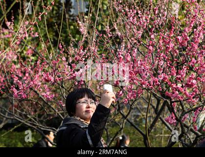 (140222) -- SHANGHAI, 22 febbraio 2014 (Xinhua) -- Un visitatore scatta foto dei fiori di prugna al Parco Xinzhuang di Shanghai, Cina orientale, 22 febbraio 2014. Gli alberi di prugne del parco fioriscono con la temperatura che sale dopo un periodo di piogge a Shanghai. (Xinhua/Liu Ying) (wf) CHINA-SHANGHAI-PLUM BLOOSOM (CN) PUBLICATIONxNOTxINxCHN Shanghai 22 febbraio 2014 XINHUA A Visitor scatta foto dei fiori di PRUGNA AL Xinzhuang Park a Shanghai Cina orientale 22 febbraio 2014 PLUM Trees AT the Park stanno fiorendo con la temperatura in aumento dopo un periodo di piovosità a Shanghai XINHUA Liu Ying WF China Shanghai PLUM CN PUBLICATIO Foto Stock