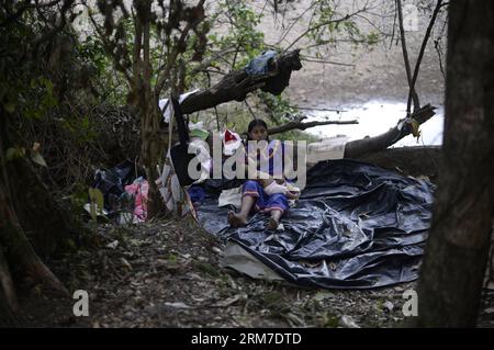 Una donna del gruppo etnico Ngabe Bugle nutre il suo bambino in un campo vicino alla riva del fiume Tabasara nella regione indigena di Ngabe Bugle, 450 km a ovest di Panama City, capitale di Panama, il 24 febbraio 2014. La regione indigena di Ngabe Bugle si trova nella regione occidentale di Panama e copre un'area di 6.968 km quadrati, con il 91% della sua popolazione che vive in estrema povertà. I leader indigeni della regione di Ngabe Bugle hanno dichiarato un allarme nazionale , a causa dell' avviso di sfratto emesso da una società che sta sviluppando il progetto idroelettrico Barro Blanco . Il progetto userà l'acqua di Tabasa Foto Stock