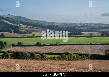 Vista sull'ondulata campagna inglese al tramonto in estate sotto il cielo blu Foto Stock