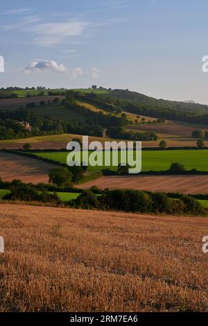 Vista sulla campagna inglese al tramonto in estate sotto il cielo blu con una nuvola Foto Stock