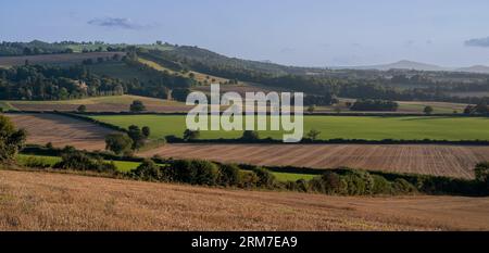 Vista panoramica sull'ondulata campagna inglese al tramonto in estate sotto il cielo blu Foto Stock
