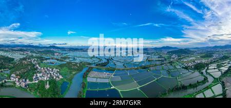 FUQING, CINA - 26 AGOSTO 2023 - foto aerea scattata il 26 agosto 2023 mostra più di 600 ettari di base di allevamento di anguille d'acqua dolce nella città di Shangjing Foto Stock