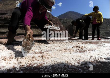 (140309) -- MARKAM, 9 marzo 2014 (Xinhua) -- gli abitanti del villaggio lavorano in una salina nella Naxi Nationality township della contea di Markam della prefettura di Qamdo, regione autonoma Tibet del sud-ovest della Cina, 9 marzo 2014. La contea di Markam è conosciuta come un luogo con ricche risorse di sale. Di gran lunga, ci sono circa 3.454 saline sulle pendici della scogliera e lungo il fiume a Naxi per evaporare la salamoia al sole con una tecnica ancestrale sin dalla dinastia Tang (618-907 d.C.). Con una grande quantità di produzione annua di prodotti salini, la produzione di sale è diventata un reddito principale per la popolazione locale. Inoltre, qui si trovano le saline e le usanze popolari locali Foto Stock