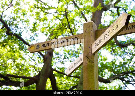 Segui le indicazioni per North Downs Way in Chantry Wood, Surrey Hills, Inghilterra Foto Stock