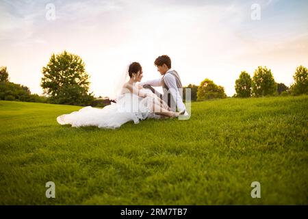 Felice sposa e lo sposo Foto Stock