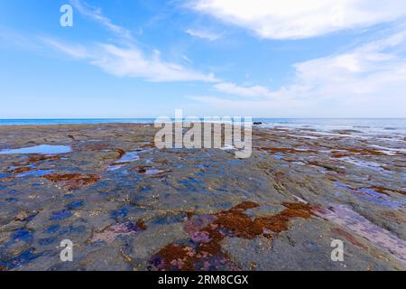 La bassa marea a Staithes rivela la costa coperta di roccia ricoperta di alghe marine e zampe. Foto Stock