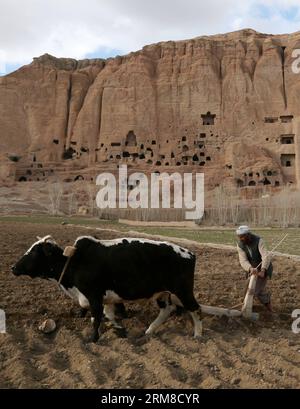 (140409) -- BAMYAN, 9 aprile 2014 (Xinhua) -- un agricoltore afghano ara un campo di patate con mucche nella provincia di Bamyan, Afghanistan, il 9 aprile 2014. (Xinhua/Kamran) AFGHANISTAN-BAMYAN-AGRICULTURE PUBLICATIONxNOTxINxCHN Bamyan 9 aprile 2014 XINHUA ad afghano coltivatore arare un campo di patate con mucche nella provincia di Bamyan Afghanistan IL 9 aprile 2014 XINHUA Kamran Afghanistan Bamyan Agriculture PUBLICATIONxNOTxINxCHN Foto Stock