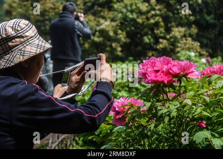 (140410) -- HANGZHOU, 10 aprile 2014 (Xinhua) -- i turisti scattano foto di fiori di peonia vicino alla Pagoda di Liuhe, letteralmente una pagoda di sei armonie, a Hangzhou, capitale della provincia dello Zhejiang della Cina orientale, 10 aprile 2014. La pagoda ha riaperto al pubblico il giovedì dopo un anno di ristrutturazione. (Xinhua/Xu Yu) (mp) CHINA-HANGZHOU-LIUHE PAGODA-REOPEN (CN) PUBLICATIONxNOTxINxCHN 140.410 Hangzhou 10 aprile 2014 i turisti di XINHUA scattano foto di fiori di peonia vicino alla Pagoda letteralmente una Pagoda di sei armonie a Hangzhou capitale della provincia dello Zhejiang della Cina orientale 10 aprile 2014 la PAGODA ha riaperto alla Foto Stock
