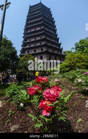 (140410) -- HANGZHOU, 10 aprile 2014 (Xinhua) -- i fiori di peonia sono in piena fioritura vicino alla Pagoda di Liuhe, letteralmente una pagoda di sei armonie, a Hangzhou, capitale della provincia dello Zhejiang della Cina orientale, 10 aprile 2014. La pagoda ha riaperto al pubblico il giovedì dopo un anno di ristrutturazione. (Xinhua/Xu Yu) (mp) CHINA-HANGZHOU-LIUHE PAGODA-REOPEN (CN) PUBLICATIONxNOTxINxCHN 140.410 Hangzhou 10 aprile 2014 XINHUA Peony Flowers are in Full Blossom vicino alla Pagoda letteralmente una Pagoda di sei armonie a Hangzhou capitale della provincia dello Zhejiang della Cina orientale 10 aprile 2014 la PAGODA ha riaperto al pubblico Foto Stock