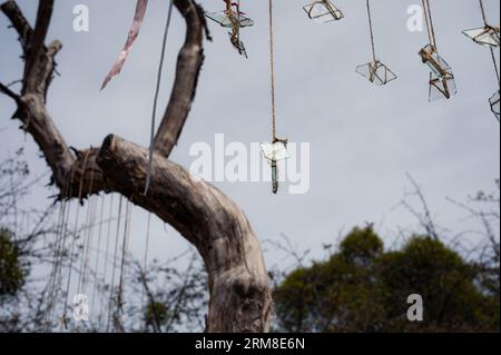 Gruppo di pezzi di vetro sulle corde e nastro bianco con il cielo e il vecchio albero come sfondo. Astratto, tema decorativo Foto Stock