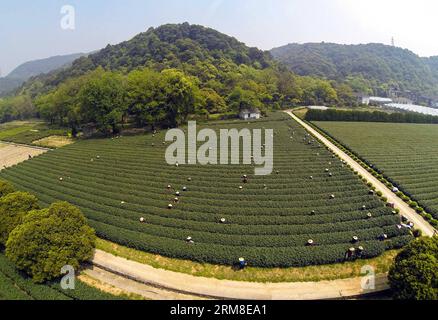 (140410) -- HANGZHOU, 10 aprile 2014 (Xinhua) -- gli agricoltori raccolgono foglie di tè nella zona protettiva del tè del lago occidentale Longjing a Hangzhou, capitale della provincia dello Zhejiang della Cina orientale, 10 aprile 2014. Con l'aumento della temperatura a Hangzhou, la produzione di tè Longjing sta aumentando rapidamente dopo il Festival di Qingming. (Xinhua/Xu Yu) (zgp) CHINA-HANGZHOU-LONGJING TEA (CN) PUBLICATIONxNOTxINxCHN 140.410 Hangzhou 10 aprile 2014 gli agricoltori di XINHUA raccolgono foglie di tè nella zona di protezione del tè Long Jing del lago OCCIDENTALE a Hangzhou capitale della provincia dello Zhejiang della Cina orientale 10 aprile 2014 con temperatura in aumento a Hangzhou th Foto Stock