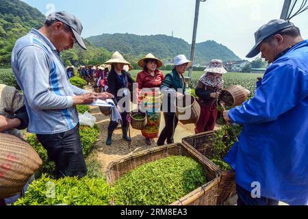 (140410) -- HANGZHOU, 10 aprile 2014 (Xinhua) -- gli agricoltori pesano le foglie di tè fresco nella zona protettiva del tè del lago occidentale Longjing a Hangzhou, capitale della provincia di Zhejiang della Cina orientale, 10 aprile 2014. Con l'aumento della temperatura a Hangzhou, la produzione di tè Longjing sta aumentando rapidamente dopo il Festival di Qingming. (Xinhua/Xu Yu) (zgp) CHINA-HANGZHOU-LONGJING TEA (CN) PUBLICATIONxNOTxINxCHN 140.410 Hangzhou 10 aprile 2014 gli agricoltori di XINHUA pesano le foglie di tè fresco nella zona di protezione del tè Long Jing del lago OCCIDENTALE a Hangzhou capitale della provincia dello Zhejiang 10 aprile 2014 con aumento della temperatura Foto Stock