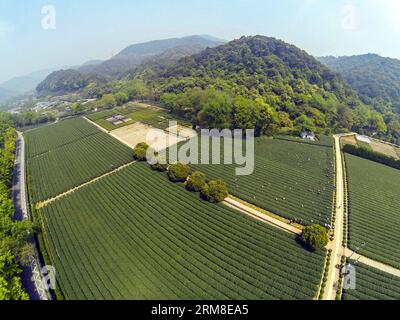(140410) -- HANGZHOU, 10 aprile 2014 (Xinhua) -- gli agricoltori raccolgono foglie di tè nella zona protettiva del tè del lago occidentale Longjing a Hangzhou, capitale della provincia dello Zhejiang della Cina orientale, 10 aprile 2014. Con l'aumento della temperatura a Hangzhou, la produzione di tè Longjing sta aumentando rapidamente dopo il Festival di Qingming. (Xinhua/Xu Yu) (zgp) CHINA-HANGZHOU-LONGJING TEA (CN) PUBLICATIONxNOTxINxCHN 140.410 Hangzhou 10 aprile 2014 gli agricoltori di XINHUA raccolgono foglie di tè nella zona di protezione del tè Long Jing del lago OCCIDENTALE a Hangzhou capitale della provincia dello Zhejiang della Cina orientale 10 aprile 2014 con temperatura in aumento a Hangzhou th Foto Stock