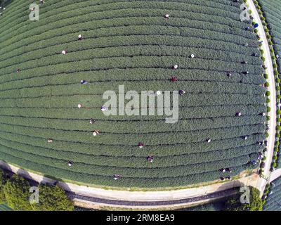 (140410) -- HANGZHOU, 10 aprile 2014 (Xinhua) -- gli agricoltori raccolgono foglie di tè nella zona protettiva del tè del lago occidentale Longjing a Hangzhou, capitale della provincia dello Zhejiang della Cina orientale, 10 aprile 2014. Con l'aumento della temperatura a Hangzhou, la produzione di tè Longjing sta aumentando rapidamente dopo il Festival di Qingming. (Xinhua/Xu Yu) (zgp) CHINA-HANGZHOU-LONGJING TEA (CN) PUBLICATIONxNOTxINxCHN 140.410 Hangzhou 10 aprile 2014 gli agricoltori di XINHUA raccolgono foglie di tè nella zona di protezione del tè Long Jing del lago OCCIDENTALE a Hangzhou capitale della provincia dello Zhejiang della Cina orientale 10 aprile 2014 con temperatura in aumento a Hangzhou th Foto Stock