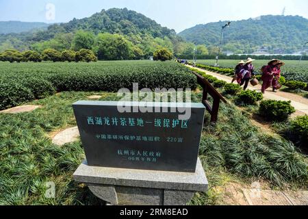 (140410) -- HANGZHOU, 10 aprile 2014 (Xinhua) -- i coltivatori di tè lavorano nella zona protettiva del tè del lago occidentale Longjing a Hangzhou, capitale della provincia di Zhejiang della Cina orientale, 10 aprile 2014. Con l'aumento della temperatura a Hangzhou, la produzione di tè Longjing sta aumentando rapidamente dopo il Festival di Qingming. (Xinhua/Xu Yu) (zgp) CHINA-HANGZHOU-LONGJING TEA (CN) PUBLICATIONxNOTxINxCHN 140.410 Hangzhou 10 aprile 2014 gli agricoltori del tè XINHUA lavorano nella zona di protezione del tè Long Jing del lago OCCIDENTALE a Hangzhou capitale della provincia dello Zhejiang della Cina orientale 10 aprile 2014 con temperatura in aumento a Hangzhou l'uscita di lo Foto Stock