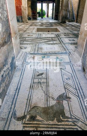 Sito archeologico di Pompei, Campania, Italia. Mosaico di porta di guardia del cane alla Casa di Paquius Proculus. Pompei, Ercolano e Torre Annunziat Foto Stock