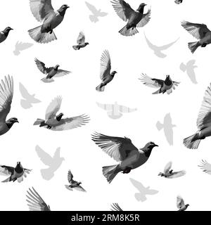 Modello a colomba senza cuciture. Illustrazione vettoriale Illustrazione Vettoriale