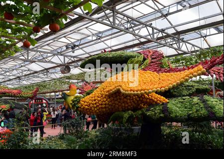 (140420) -- SHOUGUANG, 20 aprile 2014 (Xinhua) -- le persone scattano foto di sculture fatte di frutta e verdura durante la 15a fiera internazionale della Cina (Shouguang) a Shouguang, nella provincia dello Shandong, nella Cina orientale, il 20 aprile 2014. La fiera annuale è iniziata a Shouguang, il più grande fornitore di verdure di Pechino, capitale della Cina, domenica. La fiera, che ha attirato espositori da oltre 20 paesi e regioni, durerà fino a maggio 30. (Xinhua/Zhu Zheng) (wjq) CHINA-SHANDONG-SHOUGUANG-VEGETITIES FAIR (CN) PUBLICATIONxNOTxINxCHN Shouguang 20 aprile 2014 XINHUA Celebrities Ta Foto Stock