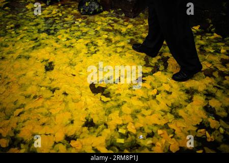 (140422) - BOGOTÀ, 22 aprile 2014 (Xinhua) - Un uomo cammina su cartine di farfalle di fronte alla Cattedrale primaria durante l'omaggio del defunto scrittore latino americano Gabriel Garcia Marquez a Bogotà, Colombia, il 22 aprile 2014. (Xinhua/Jhon Paz) COLOMBIA-BOGOTÀ-CULTURE-GARCIA MARQUEZ PUBLICATIONxNOTxINxCHN Bogotà 22 aprile 2014 XINHUA un uomo cammina sopra le FARFALLE DI fronte alla Cattedrale primaria durante l'omaggio del defunto scrittore latino americano Gabriel Garcia Marquez a Bogotà Colombia IL 22 aprile 2014 XINHUA Jhon Paz Colombia Bogotà Culture Garcia Marquez PUBLINTIX Foto Stock
