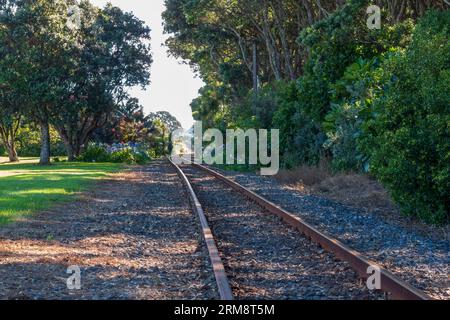 Binari ferroviari che conducono davanti agli splendidi alberi di Pohutukawa vicino al Coastal Walkway a New Plymouth, nuova Zelanda Foto Stock