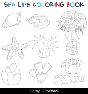 Anemone, stelle marine e conchiglie. Originali pagine da colorare del mondo sottomarino. Grafica in bianco e nero per la creatività di bambini e adulti. Illustrazione Vettoriale