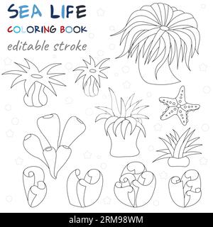 Stelle marine e piante marine. Originali pagine da colorare del mondo sottomarino. Grafica in bianco e nero per la creatività di bambini e adulti. Illustrazione Vettoriale