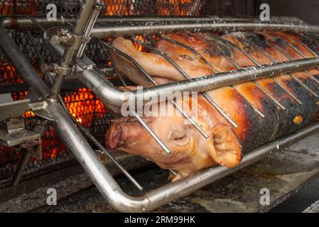 Primo piano di un intero maiale arrostito su un fuoco a carbone aperto. Preparazione per un barbecue (BBQ) da qualche parte in Francia. Immagine ad alta risoluzione con spazio copia IF Foto Stock