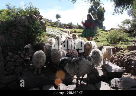 (140520) -- PUNO, 20 maggio 2014 (Xinhua) -- Una donna mandria un gregge di pecore sull'isola galleggiante di Taquile sul lago Titicaca, nella regione di Puno, Perù, 13 maggio 2014. Il lago Titicaca e le sue isole galleggianti nella regione di Puno del Perù hanno non solo attrazioni naturali, ma anche una cultura unica grazie alla popolazione quechua di Juliaca che vive lì. Il lago Titicaca si trova nell'altopiano di Collao, con le isole di Luna, Taquile, Amantani, Uros e Suriqui. (Xinhua/Luis Camacho)(zhf) PERU-PUNO-TITICACA LAKE-FLOATING ISLAND PUBLICATIONxNOTxINxCHN Puno 20 maggio 2014 XINHUA una donna mandria un gregge di pecore o Foto Stock