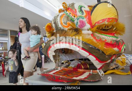 Le persone visitano il padiglione della cultura cinese durante il 29° Festival annuale delle culture di Carassauga a Mississauga, Ontario, Canada, 25 maggio 2014. Inaugurato venerdì, questo evento di tre giorni offre ai visitatori l'opportunità di viaggiare in oltre 70 paesi e regioni senza lasciare la città in un solo weekend. (Xinhua/Zou Zheng) CANADA-TORONTO-CULTURE FESTIVAL PUBLICATIONxNOTxINxCHN le celebrità visitano il padiglione della cultura cinese durante il 29° Festival annuale delle culture a Mississauga Ontario Canada il 25 2014 maggio ha avuto inizio venerdì questo evento di tre giorni offre ai visitatori l'opportunità di Foto Stock