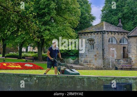 Alberi ed edifici sullo sfondo come giardiniere anziano taglia l'erba con un rasaerba, Knaresborough, North Yorkshire, Regno Unito. Foto Stock