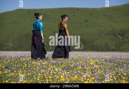 (140619) -- HONGYUAN, 19 giugno 2014 (Xinhua) -- le ragazze camminano tra i fiori sul pascolo di Emutang nel comune di Rangkou della contea di Hongyuan, nella provincia del Sichuan della Cina sud-occidentale, 19 giugno 2014. (Xinhua/Jiang Hongjing) (lfj) CHINA-SICHUAN-HONGYUAN-FLOWERY PASTURE (CN) PUBLICATIONxNOTxINxCHN Hongyuan 19 giugno 2014 XINHUA Girls Walk Among Flowers ON the Pasture nella Township of Hongyuan County South West China S Sichuan Province 19 giugno 2014 XINHUA Jiang Hongjing China Sichuan Foto Stock