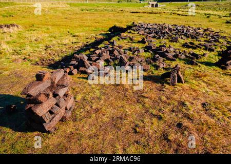 Sulla costa irlandese, i tradizionali blocchi di torba vengono raccolti da una ricca e variegata zona umida. Foto Stock