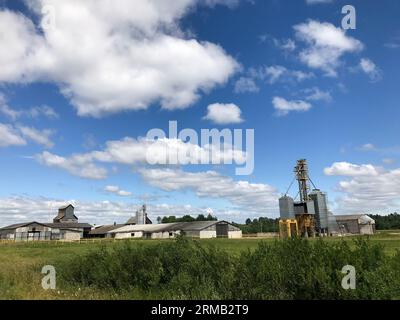 Grande azienda agricola agricola con attrezzature, case, fienili, granaio. Foto Stock