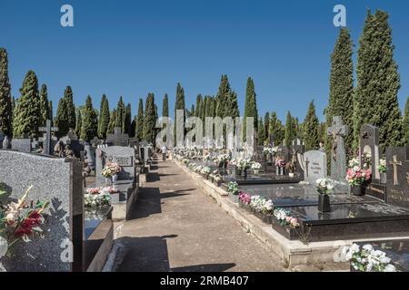 Tombe, pantheon e cipressi nei romantici cortili del cimitero, città di Guadalajara, costruzione dichiarata patrimonio dell'umanità. Spagna Foto Stock