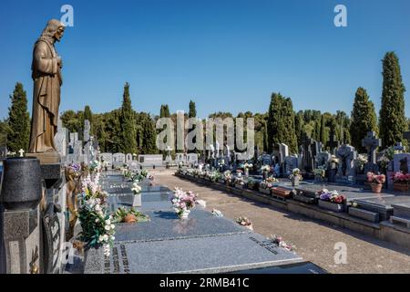 Tombe, pantheon e cipressi nei romantici cortili del cimitero, città di Guadalajara, costruzione dichiarata patrimonio dell'umanità. Spagna Foto Stock