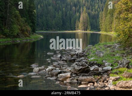 Il fiume Lochsa nella Clearwater National Forest nell'Idaho centrale. Foto Stock