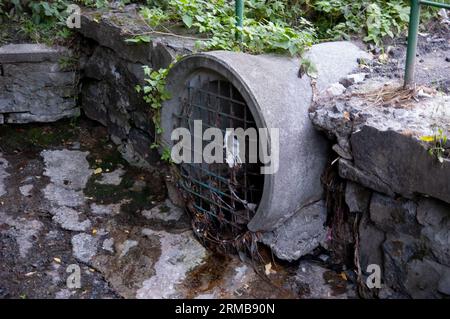 fiume urbano: l'acqua trasuda da un tubo di cemento rotondo, bloccato da una vecchia griglia Foto Stock