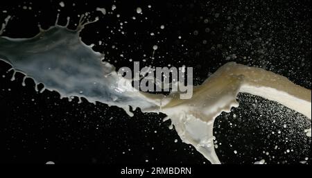 Esplosione del latte su sfondo nero Foto Stock