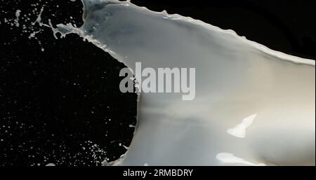 Esplosione del latte su sfondo nero Foto Stock