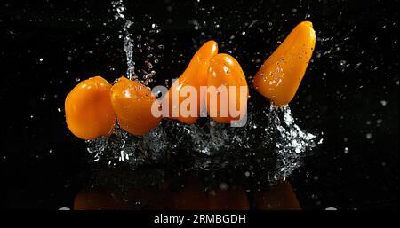 Peperoni dolci gialli, capsicum annuum, verdure che cadono sull'acqua su fondo nero, Foto Stock