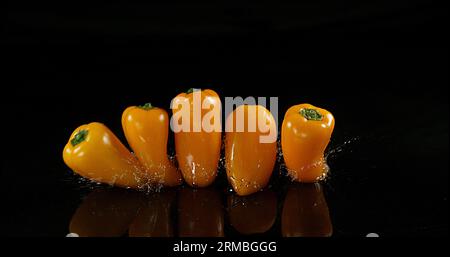 Peperoni dolci gialli, capsicum annuum, verdure che cadono sull'acqua su fondo nero, Foto Stock