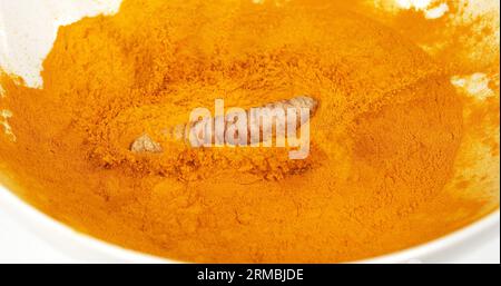 Curcuma, curcuma longa, Root Falling on Curcuma Powder, Indian Spice Foto Stock