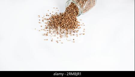 Coriandolo, coriandrum sativum, semi che cadono su sfondo bianco Foto Stock
