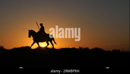 Uomo sul suo Cavallo della Camargue, che galoppa all'alba, Manadier a Saintes Marie de la Mer in Camargue, nel sud della Francia, Cow Boy Foto Stock