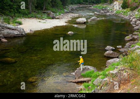 Pesca con la mosca, Lochsa Wild and Scenic River, Clearwater National Forest, Northwest Passage Scenic Byway, Idaho Foto Stock