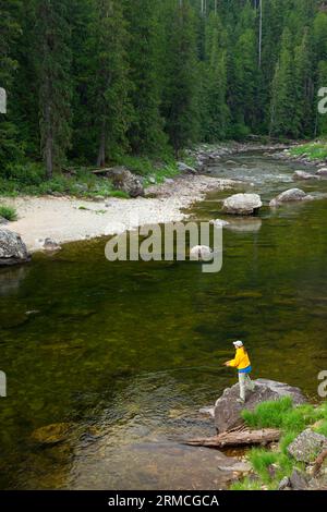 Pesca con la mosca, Lochsa Wild and Scenic River, Clearwater National Forest, Northwest Passage Scenic Byway, Idaho Foto Stock