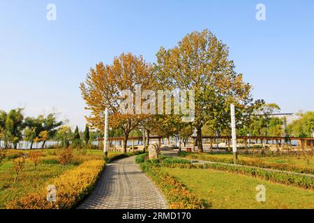 passaggio pedonale in pietra in un parco in autunno Foto Stock