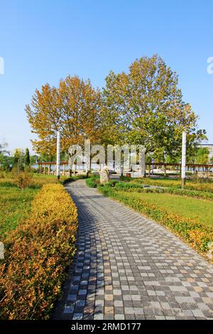passaggio pedonale in pietra in un parco in autunno Foto Stock