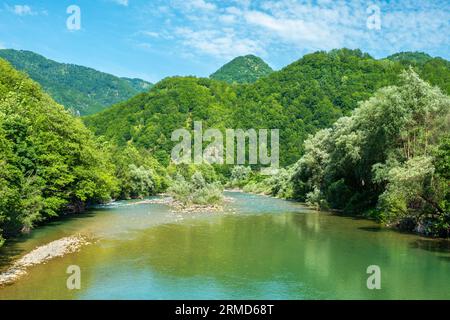 Paesaggio montano lungo il fiume Tara. Montenegro Foto Stock